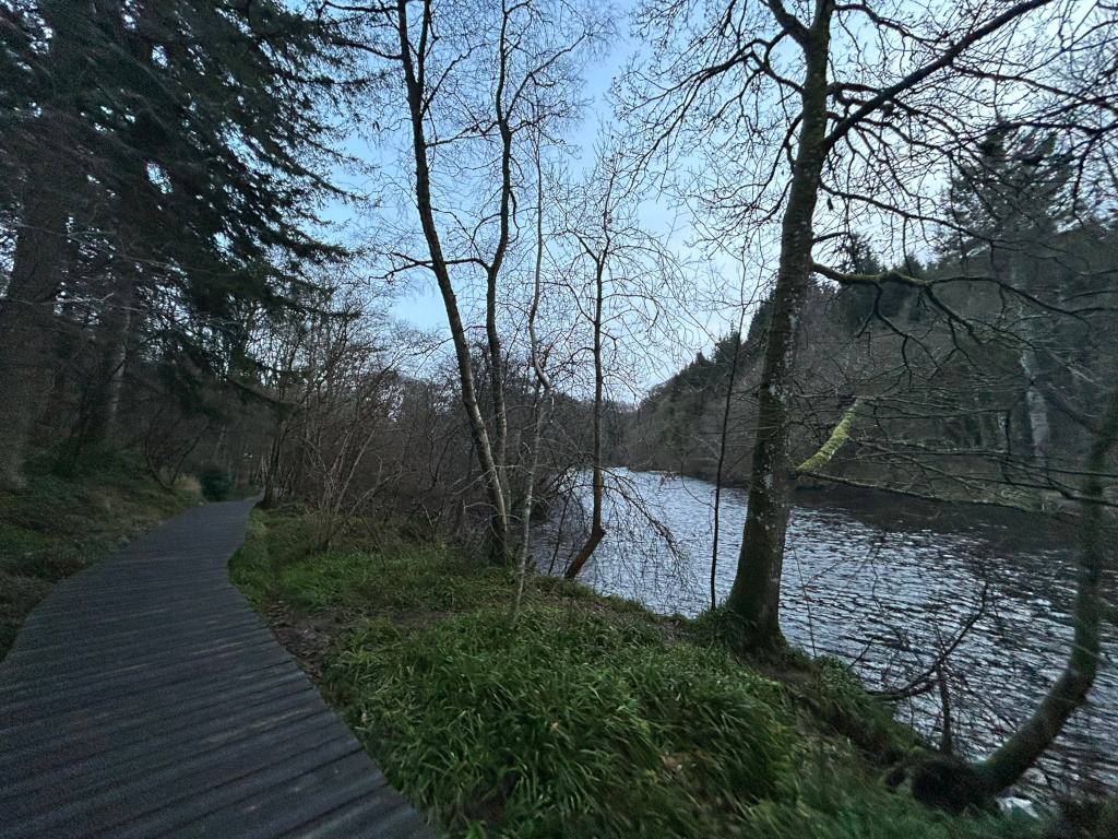 Dark grey wooden boardwalk winding through a tranquil riverside landscape. Bare, winter trees frame the path and a calm river flows to the right. The overall mood is serene and somewhat melancholic, reflecting the late afternoon or early evening light. The contrast between the dark path and the lighter river, along with the bare trees, emphasizes the stillness and quiet of the scene.