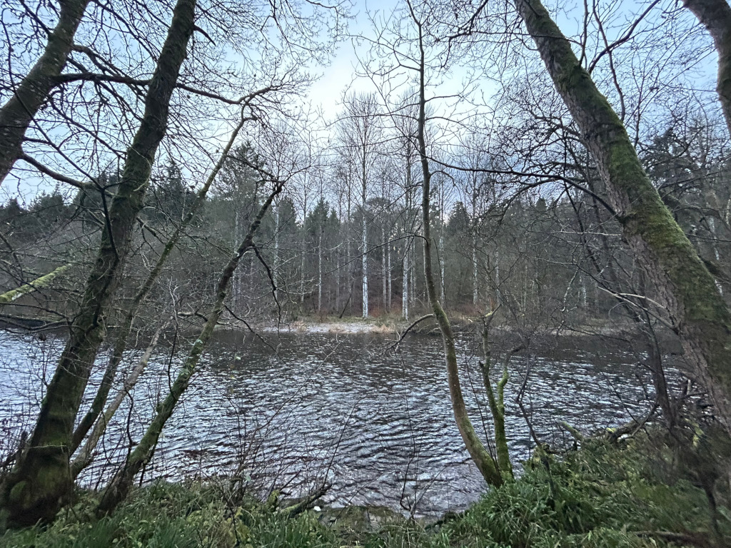 Tranquil lake scene, viewed from the edge of a wooded area. Bare, winter trees frame the view, their branches reaching towards the calm, dark water. A small, sparsely vegetated island or peninsula is visible in the middle ground, beyond which a denser forest line extends. The overall mood is serene, somewhat melancholic, reflective of a late autumn or early winter day.