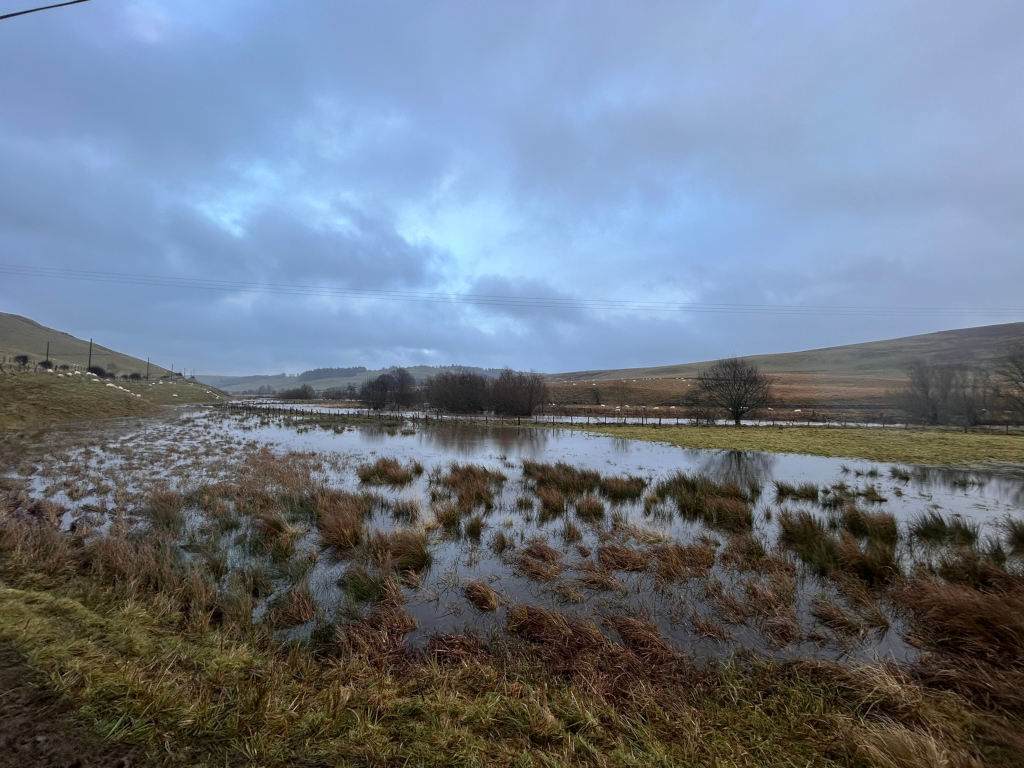 Flooded field in a rural landscape. The water is relatively shallow and covers most of the foreground, with patches of brown and dried grasses sticking out of the water. In the background, there are gently rolling hills, sparsely dotted with trees and sheep. The sky is overcast and muted in tone, suggesting a cold, possibly wintry day. The overall impression is one of quiet, subdued stillness and the effects of recent rainfall.
