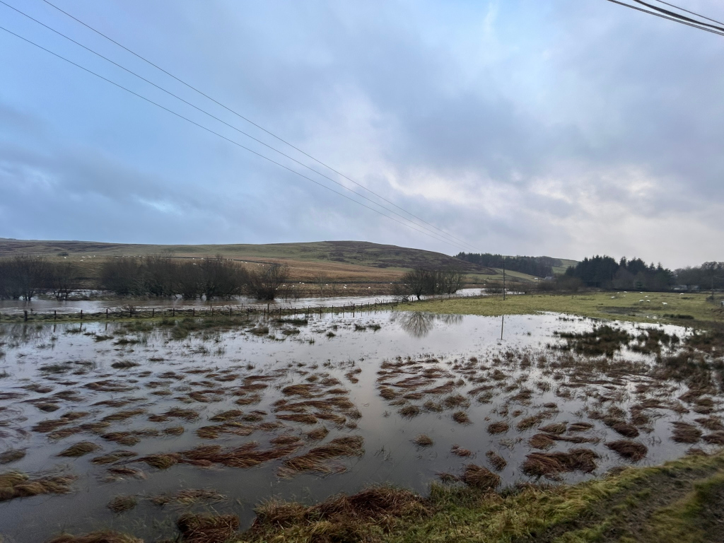 Flooded field in a rural landscape. The water covers much of the foreground, with patches of brown grass visible above the surface. In the background, there are rolling hills, some trees, and a few sheep. The sky is overcast. The overall impression is one of a quiet, somewhat bleak, but also peaceful scene. The flooding suggests recent heavy rainfall.