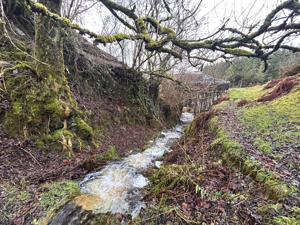 Small stream flowing through a mossy, wooded area. An old stone bridge is partially visible in the background, and the banks of the stream are covered with fallen leaves and moss-covered trees. The overall atmosphere is one of quiet, natural beauty in a seemingly rural or secluded setting.