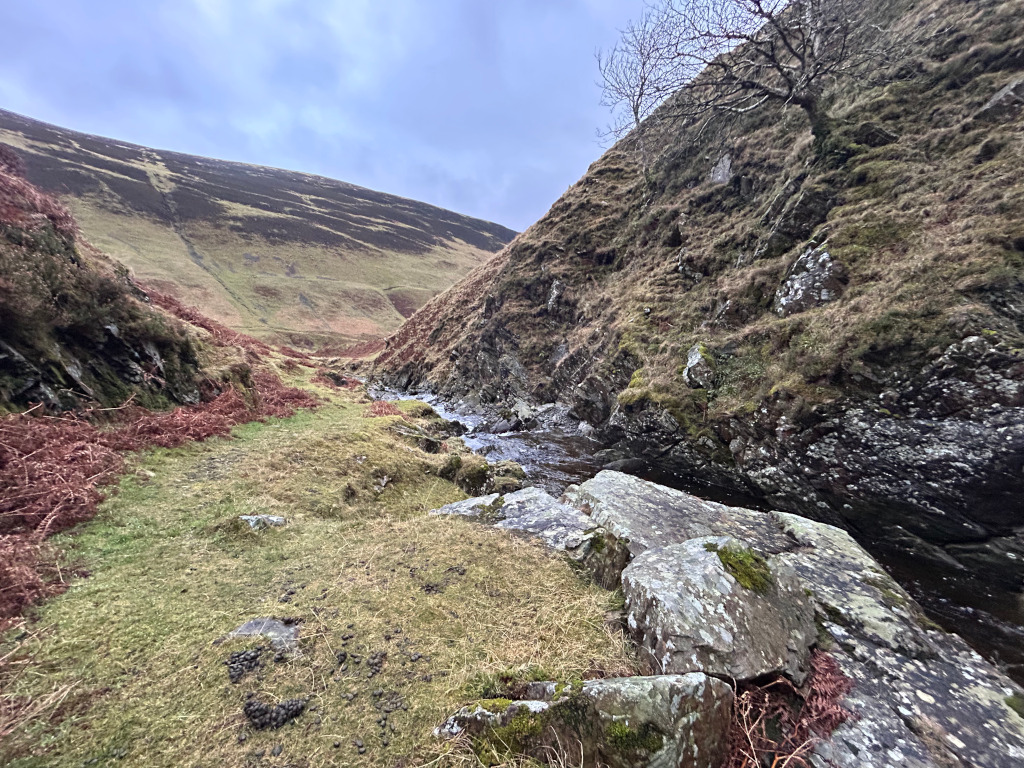 Narrow, rocky valley with a stream running through it. The valley walls are steep and covered in sparse vegetation, mostly grasses and some moss. A small, bare tree clings to the side of one of the hills. The overall tone is muted, suggesting a cloudy or overcast day. The foreground is dominated by large rocks near the stream. A faint path is visible along the valley floor.