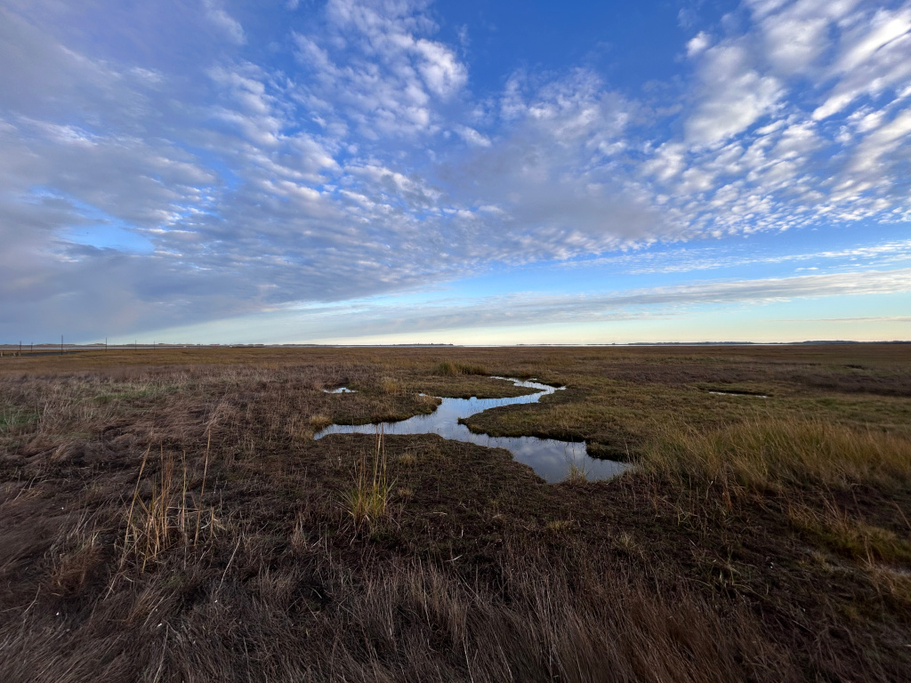 Wide, flat expanse of marshland under a vast, mostly clear, blue sky filled with thin, wispy clouds. The foreground consists of brown, dry grasses, punctuated by small, shallow pools of water reflecting the sky. The background reveals a similar flat landscape extending to the horizon. The overall impression is one of stillness and wide-open space, typical of coastal marshland.