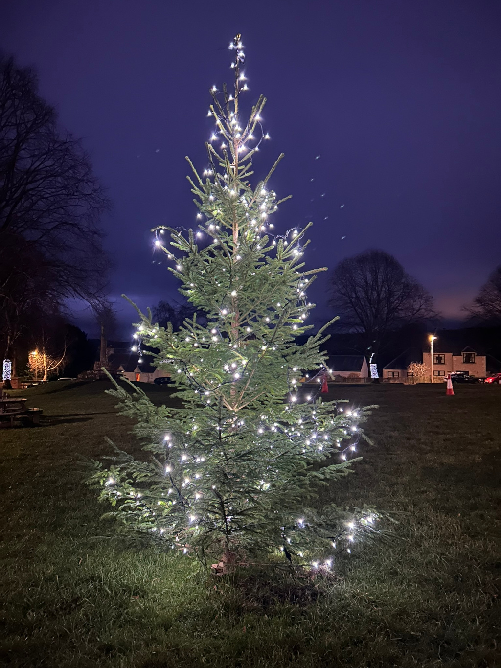 Christmas tree adorned with white fairy lights, standing in a grassy area at night. The tree is the central focus, illuminated against a dark blue night sky. In the background, there are dimly lit buildings and trees, suggesting a quiet, possibly residential setting. The overall mood is peaceful and festive.