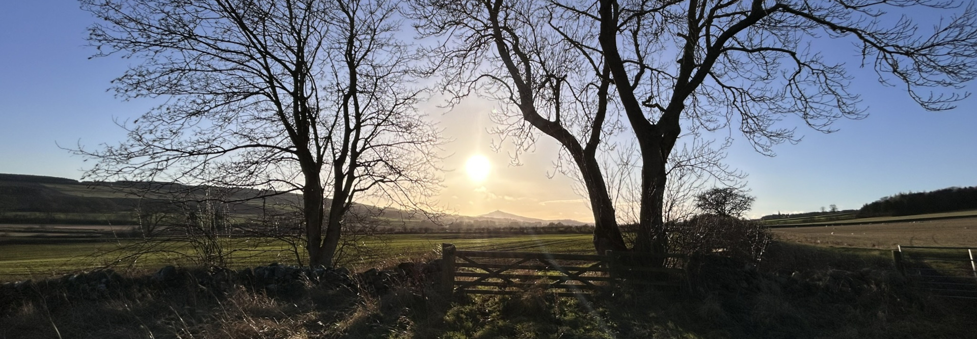 Sunlit rural landscape framed by two leafless trees. A wooden gate stands in the foreground, leading to a field stretching towards a distant hill under a clear, pale blue sky. The sun is positioned centrally, creating a bright but not harsh light illuminating the scene. The overall mood is serene and peaceful, suggesting a tranquil countryside setting.