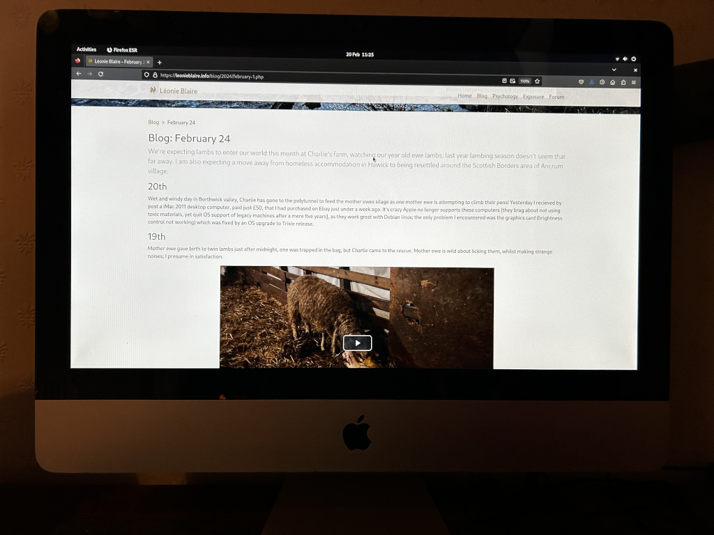 Computer screen displaying a blog post titled Blog: February 24. The post details the author's experiences on a farm, including the birth of twin lambs and various technological misadventures. A photograph embedded in the blog post shows a ewe in a lambing pen, surrounded by straw, with a single lamb visible. The ewe appears calm. The play button on the embedded video is clearly visible in the bottom centre of the video. The computer itself is a sleek, silver iMac, positioned centrally in the frame. The ambient light reflects softly on its surface. The scene is set at night in a dimly lit room. The overall colour palette is muted and warm. The background is blurry, suggestive of a home or office environment. The computer screen's light dominates the visible area, creating a strong contrast between the bright display and the darker surroundings. The room is subtly visible around the edges of the iMac. A dark wooden desk or table partially supports the base of the computer.