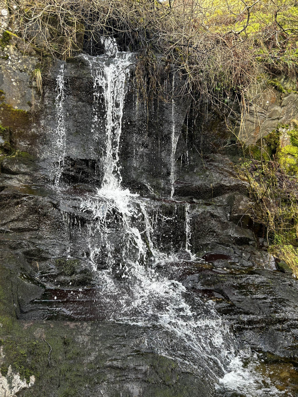 Small, cascading waterfall tumbling down a dark, moss-covered rock face. The water flows in multiple thin streams from a small pool at the top, gathering as it descends. The flow is not forceful; it's a gentle cascade, with the water creating a frothy texture as it splashes over the irregular rock formations. The waterfall is nestled within a natural rock formation. The rocks are predominantly dark grey to black, wet, and slick-looking, with patches of dark green moss growing in crevices and on lower portions.  The background includes bare, brown-grey branches of shrubs or small trees, partially obscuring the upper reaches of the waterfall. A hint of brighter, yellowish-green vegetation is visible in the upper right corner, suggesting a wider landscape beyond the immediate waterfall. The lighting is soft and diffuse, likely overcast daylight, lacking harsh shadows.