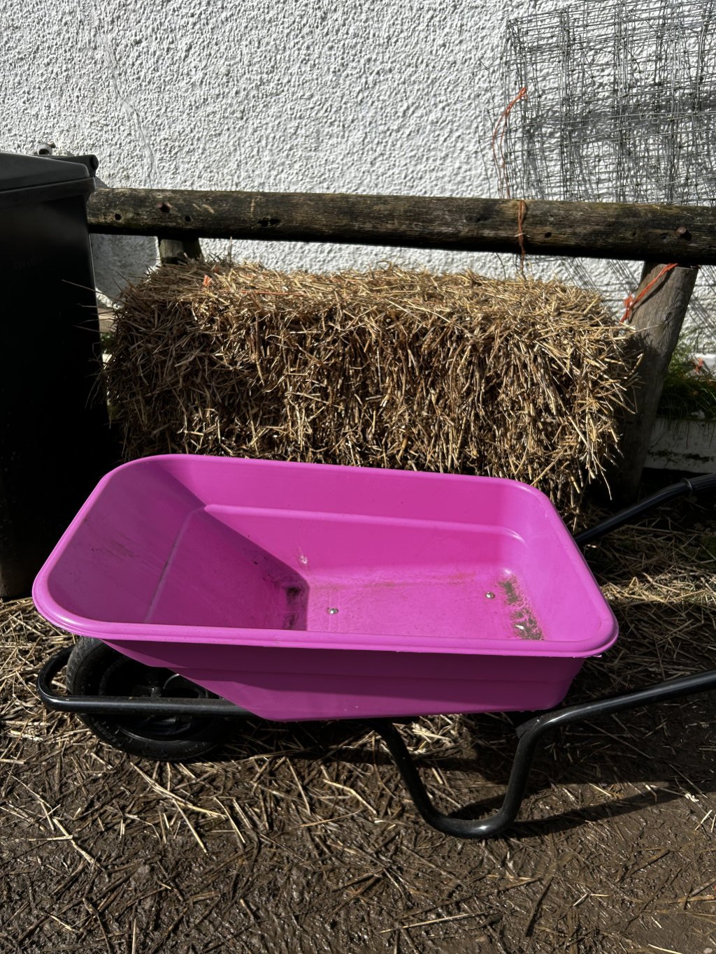 Bright pink wheelbarrow sitting on muddy ground in front of a bale of hay. A section of wooden fence and a black bin are visible in the background.