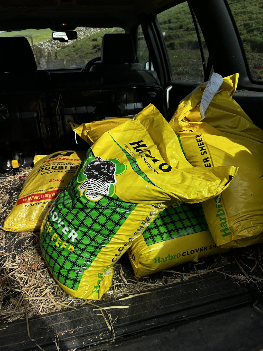 Back of a vehicle's cargo area filled with several large bags of animal feed. The bags are predominantly yellow with green and black accents, clearly labelled with brand names like Hayes and Harbro, indicating sheep feed and clover supplements. The bags appear to be filled and ready for transport, suggesting a rural or farming context. The presence of straw in the vehicle's bed further reinforces this setting. The overall impression is one of practicality, related to animal husbandry and transport.