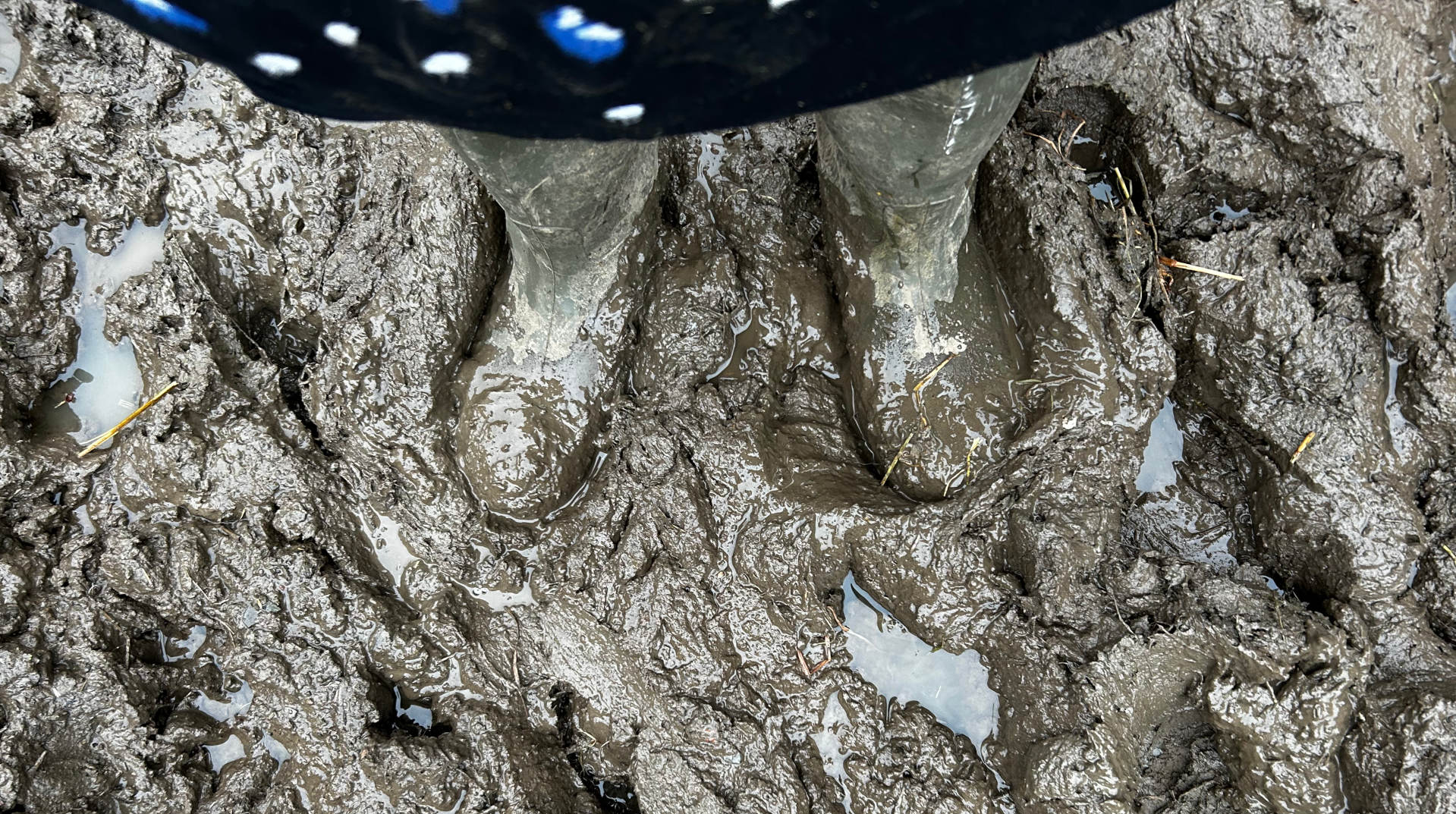 A pair of muddy footprints, presumably from boots, in thick, wet mud. The bottom of a dark garment with white polka dots is visible at the top of the image, suggesting the Leonie is standing in the mud. The overall impression is one of deep mud and possibly difficult conditions.
