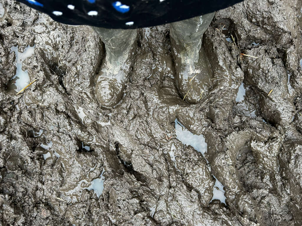 Pair of muddy footprints, presumably from boots, in thick, wet mud. The bottom of a dark garment with white polka dots is visible at the top of the image, suggesting the Leonie is standing in the mud. The overall impression is one of deep mud and possibly difficult conditions.