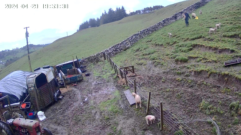 Muddy farmyard scene. A person is herding some sheep and lambs up a hillside. In the foreground, there are several lambs near a fence, and some farm equipment, including a tractor and trailers, is visible. The overall setting is a rural, agricultural one, likely in a wet or recently rained-upon location.