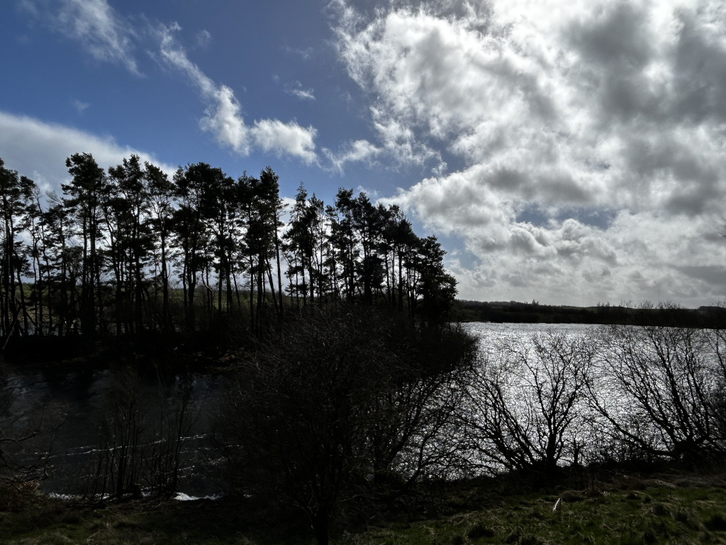 Tranquil landscape featuring a line of dark, silhouetted pine trees standing along the edge of a calm body of water, likely a lake or reservoir. The water reflects the light from a partly cloudy sky, creating a shimmering effect.  The sky is a mix of bright blue patches and fluffy white and grey clouds, suggesting a day with changeable weather. The overall mood is serene and peaceful, with a stark contrast between the dark trees and the bright sky and water. The foreground includes bare, dark winter branches adding to the moody atmosphere.