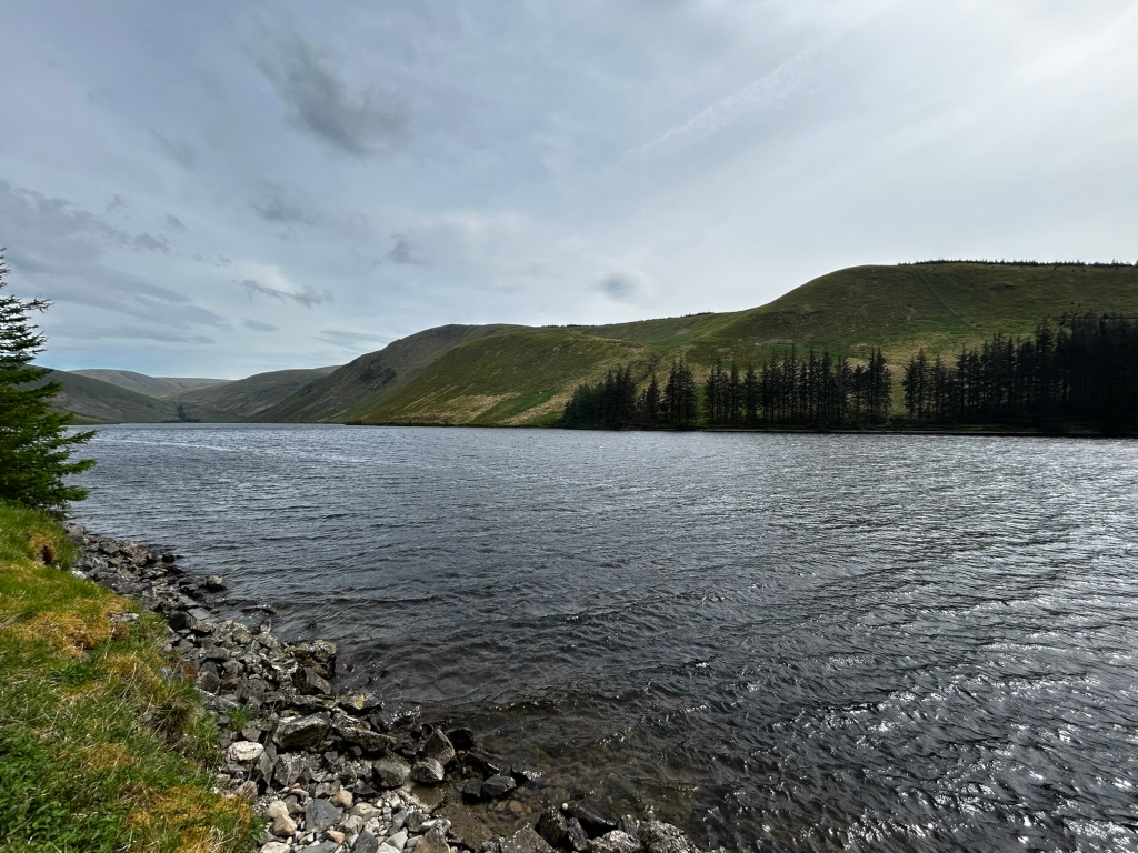 Serene landscape featuring a calm body of water, possibly a lake or reservoir, nestled within a valley. Rolling green hills rise on the far side, their slopes dotted with dark evergreen trees forming a distinct line along the water's edge. The sky is overcast, a soft grey with hints of brighter areas, casting a gentle light on the scene. The foreground shows a rocky shoreline with sparse vegetation.