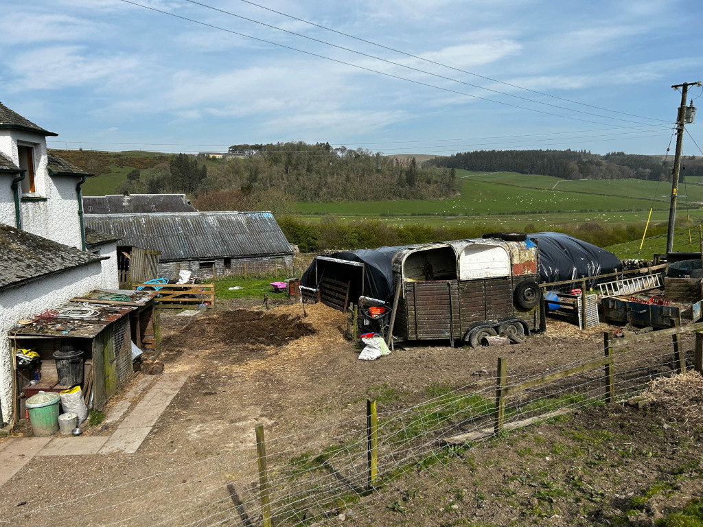 Weathered, dark-coloured horse trailer, partially covered by a black tarp, situated in the yard.  Around the trailer are various farm implements and supplies, including a pile of what appears to be manure or composting material.  Old farm buildings, including a whitewashed stone building and a grey-roofed barn, form the backdrop.  A wire fence encloses part of the yard. In the distance, a green pasture with numerous sheep is visible, extending beyond a line of trees and hills under a partly sunny sky. The overall impression is one of rustic, working farm life.