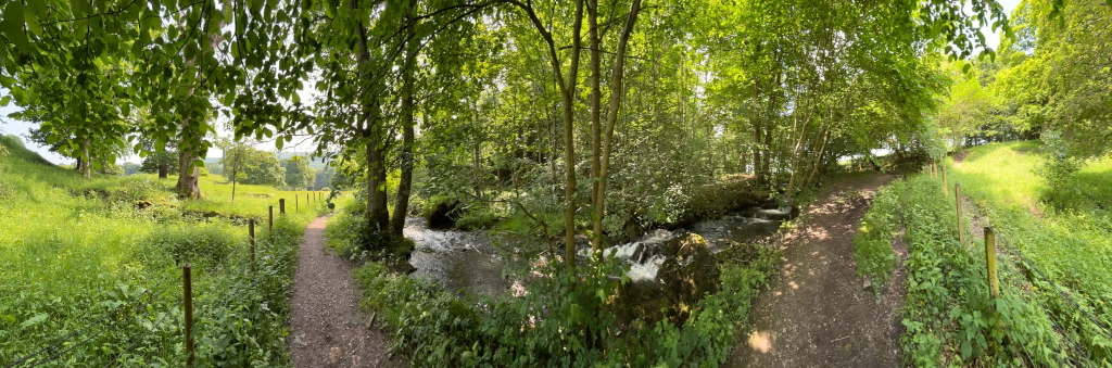 Panoramic view of a tranquil woodland scene. Two paths diverge at a small stream or creek, which flows over rocks. Lush green vegetation, including trees and undergrowth, surrounds this idyllic setting. The paths appear to be well-trodden and lead to different directions among the woods. A section of grassy field is visible beyond a fence in the background.