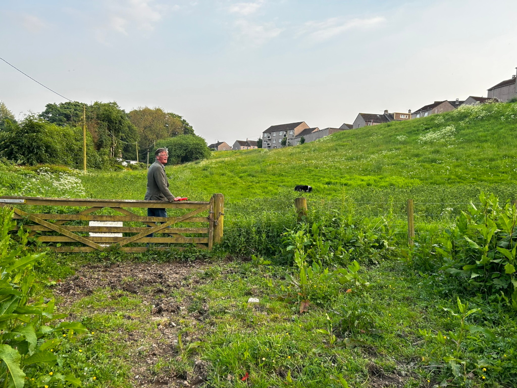 Charlie standing by a wooden gate in a grassy field. In the background, a gentle slope rises to a row of houses. A single dog is visible in the distance on the slope.
