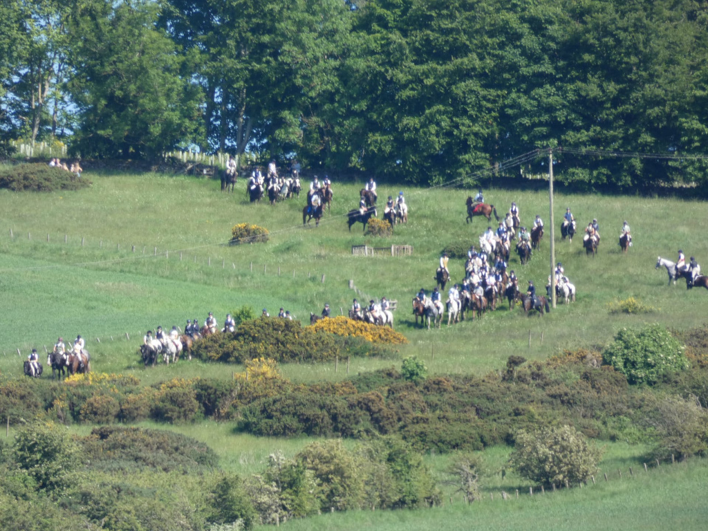 Large group of people on horseback gathered in a grassy field. They appear to be participating in some kind of equestrian event or gathering, possibly a hunt or a trail ride, given their attire and the distribution across the field. The riders are wearing similar light-coloured clothing. The setting is rural, with a background of lush green trees.