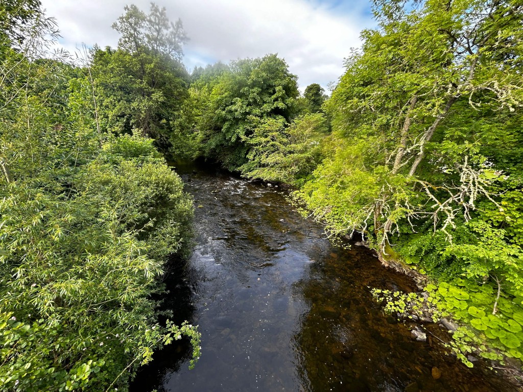 Tranquil river scene, viewed from a bridge. Lush green vegetation lines both banks of the river, creating a verdant and natural frame. The water is relatively calm, dark, and reflects the surrounding greenery. The sky is partly cloudy, adding depth to the overall composition.