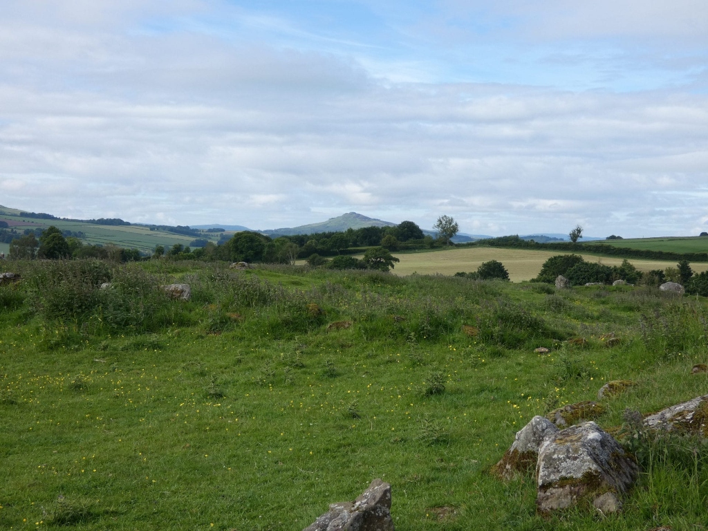Pastoral landscape in the Scottish countryside. In the foreground is a field of short, green grass dotted with small yellow wildflowers and several large, moss-covered stones, possibly remnants of a stone circle or ancient structure. The mid-ground displays rolling hills, farmland, and scattered trees. A distinct hill or small mountain is visible in the distance, under a mostly cloudy but bright sky.