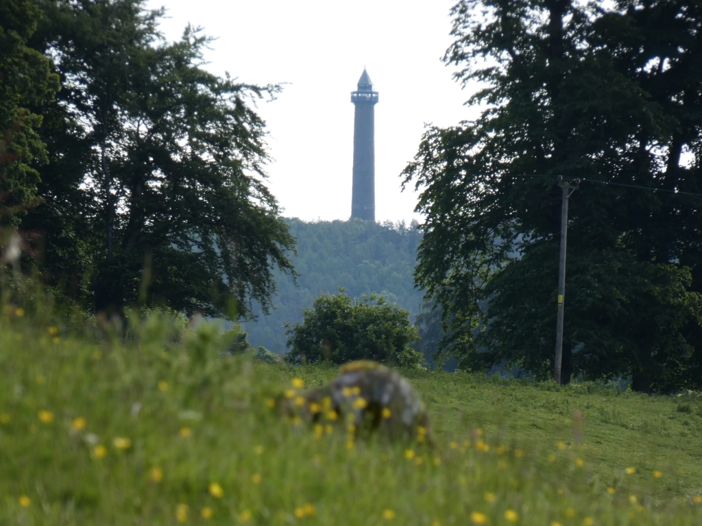 Tall, slender tower visible in the distance through a foreground of lush green grass and trees. The tower appears to be a monument or landmark, standing atop a hill or rise. The overall mood is serene and tranquil, with a focus on the natural beauty of the landscape. The image's composition uses depth of field to highlight the tower, placing it further away, while the foreground's wildflowers and foliage occupy most of the frame. The gentle light suggests either morning or late afternoon.