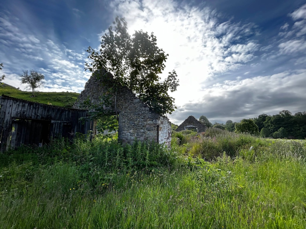 Ruins of a stone building, partially overgrown with vegetation. A section of a wooden structure is also visible, adjacent to the stone remains. The ruins are situated in a field of tall grass under a partly cloudy sky. A tree grows partially through the stone structure.