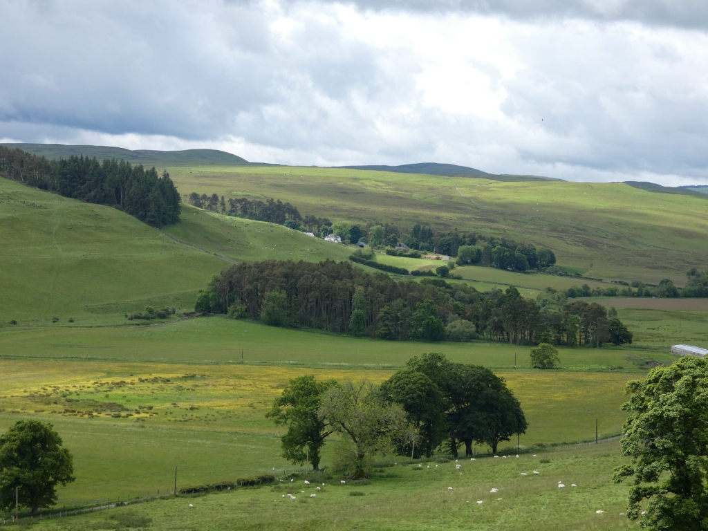 Picturesque landscape of rolling green hills and valleys in a pastoral setting. There are patches of yellow wildflowers, scattered trees and woodland areas, and a small cluster of farm buildings nestled amongst the greenery. Sheep are visible grazing in the lower fields. The sky is partly cloudy. 