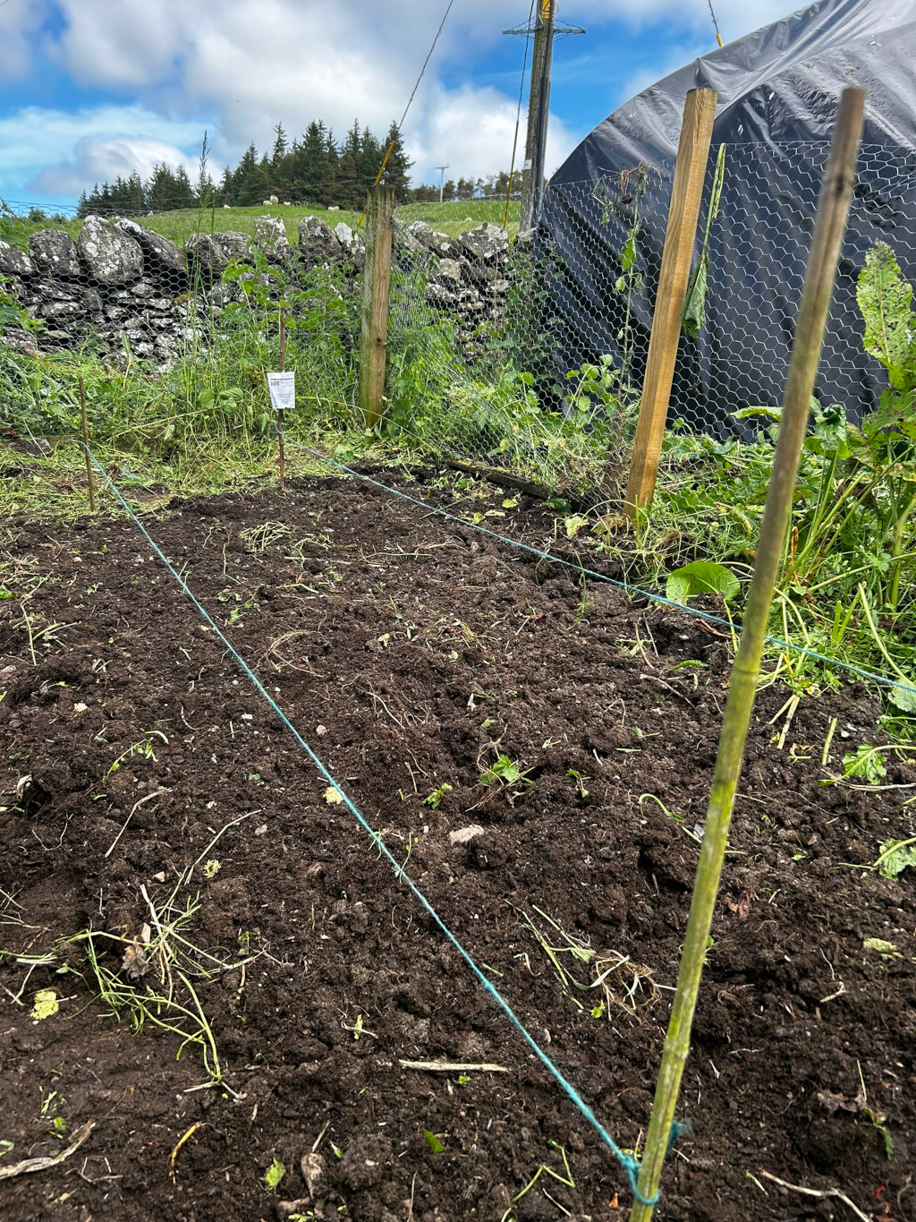 Freshly tilled section of garden soil, divided into rows by thin green strings. Wooden stakes mark the boundaries of the plot. The area is enclosed by chicken wire fencing, behind which is a dark tarp and a stone wall. Some sparse weeds and grass are visible in the soil, and a small white label is stuck in the ground near the fence. The background includes a grassy hillside and some trees under a partly cloudy sky.