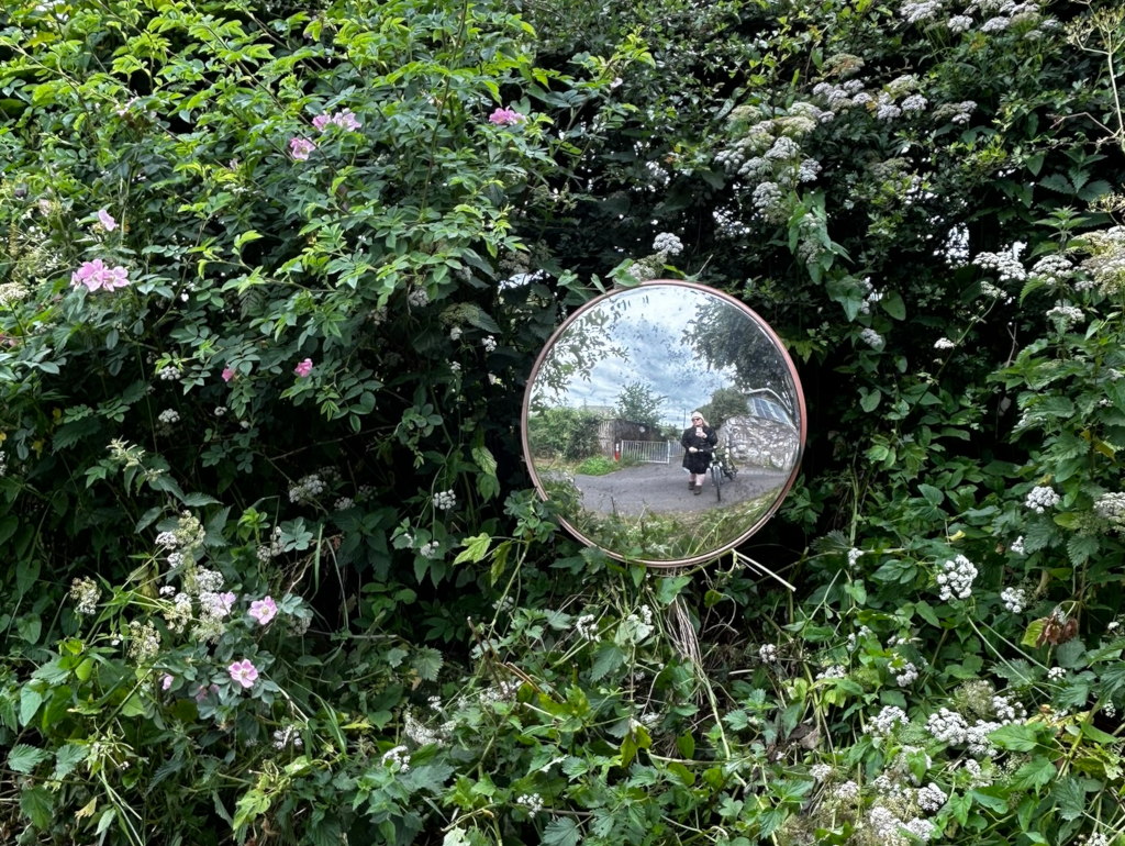 Convex mirror reflecting Leonie on a bicycle on a country lane.  The mirror is positioned in a dense, overgrown hedgerow filled with various flowering plants, predominantly green foliage with pink wild roses and white umbellifer flowers. The overall impression is one of a quiet, rural scene.
