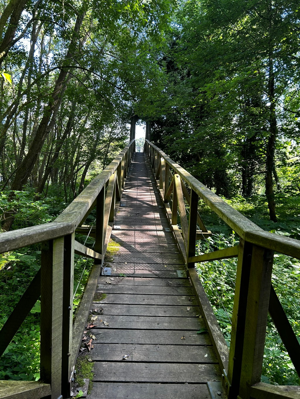 Long wooden footbridge extending into a lush green forest. The bridge is simple in design with wooden railings and a slightly worn wooden surface. Sunlight filters through the dense canopy above, casting dappled shadows on the bridge's walkway. 