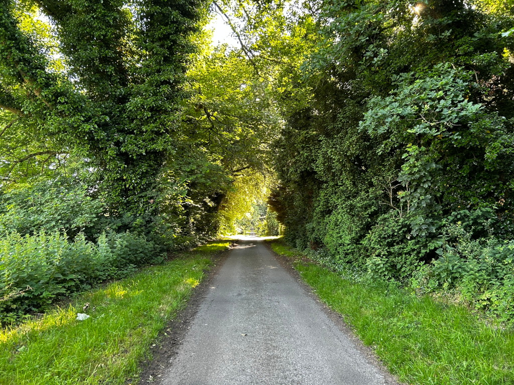 Narrow paved road or lane that is completely enclosed by lush green vegetation. The trees and bushes form a natural tunnel or archway over the road, with dappled sunlight filtering through the leaves. 