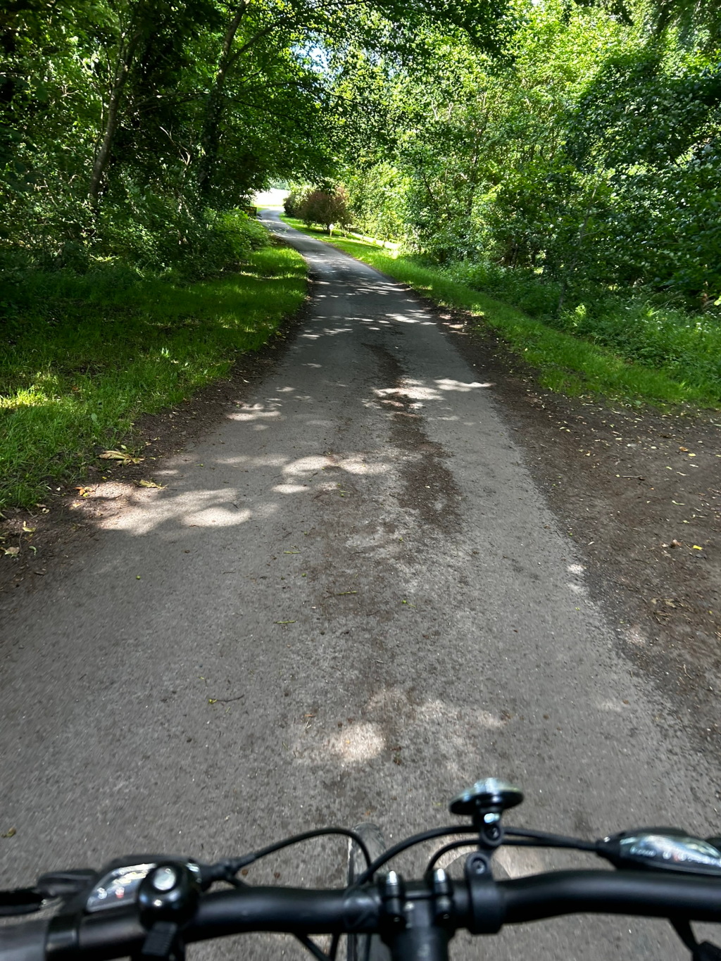 First-person view from a bicycle riding down a paved path that winds through a lush green forest. Sunlight filters through the trees, creating dappled shadows on the path. The overall impression is one of peaceful, solitary travel through nature.