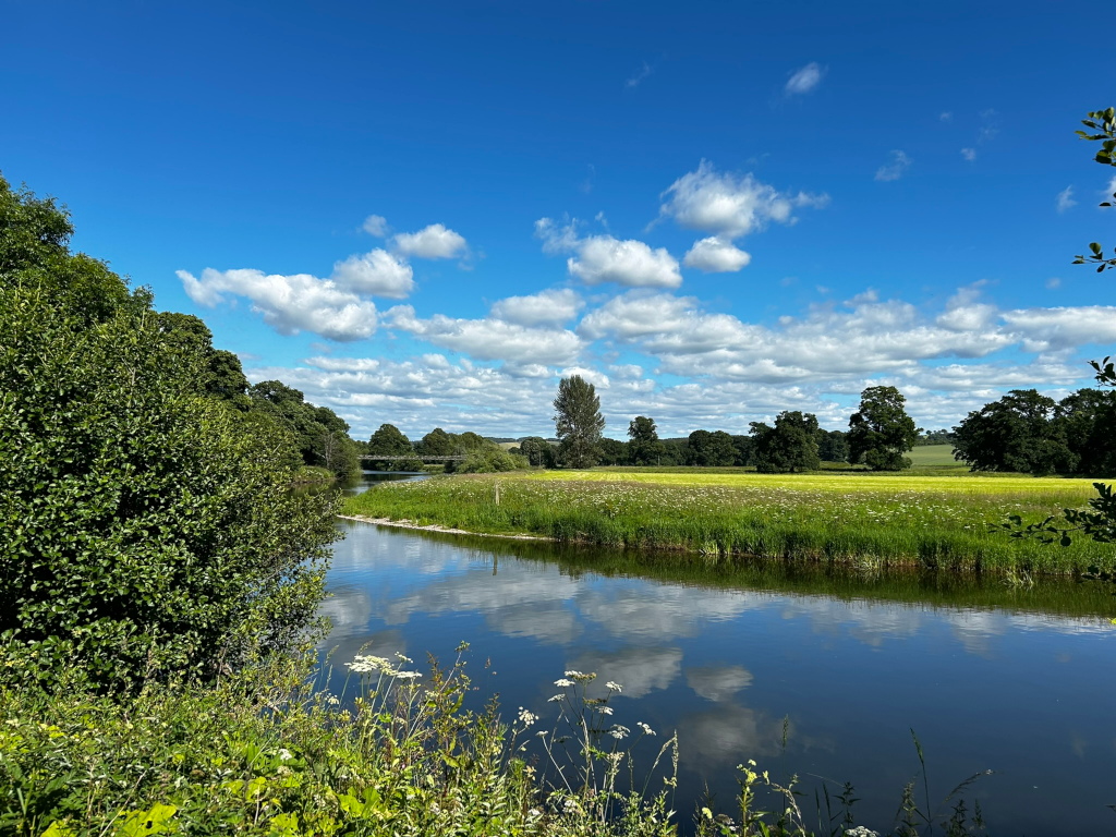 Tranquil river scene on a sunny day. Lush green vegetation lines the banks of the river, which reflects the blue sky and fluffy white clouds. A bridge is visible in the distance, and a field of wildflowers stretches along the riverbank.