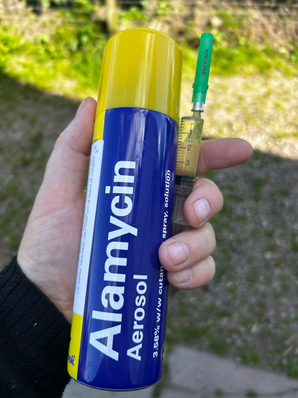 Leonie's hand holding a can of Alamycin Aerosol (3.58% w/v cutaneous spray solution) and a small syringe filled with a yellowish liquid. The background is blurred, showing an outdoor setting with green vegetation. The overall impression is one of veterinary or animal care, possibly involving medication administration.
