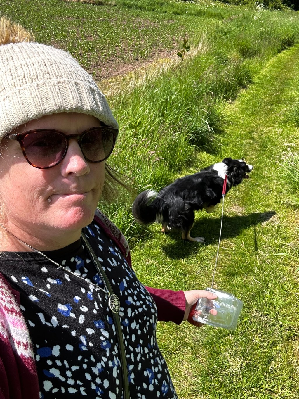 Leonie taking Charlie's dog for a walk. Leonie is wearing a beige knit hat, sunglasses, and a dark top with a white and blue pattern. She is holding a clear plastic container in her hand. The dog, a black and white Border Collie, is on a leash and is in the process of urinating on the grass. The setting is a grassy field, possibly a park or rural area. The overall mood is relaxed and mundane, depicting an everyday occurrence of a person walking their dog.