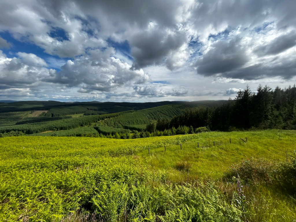 Panoramic view of a landscape dominated by a vast expanse of verdant, rolling hills covered with lush green forests. In the foreground, a field of bright, yellow-green ferns stretches out, meeting a taller, greener grassy area. A dark, coniferous forest marks the horizon line, contrasting with the lighter shades of the foreground. The sky is a dramatic mix of fluffy white clouds and darker, brooding clouds, suggesting a day with shifting weather patterns. The overall impression is one of peaceful natural beauty, with a slight suggestion of both tranquillity and potential storm.
