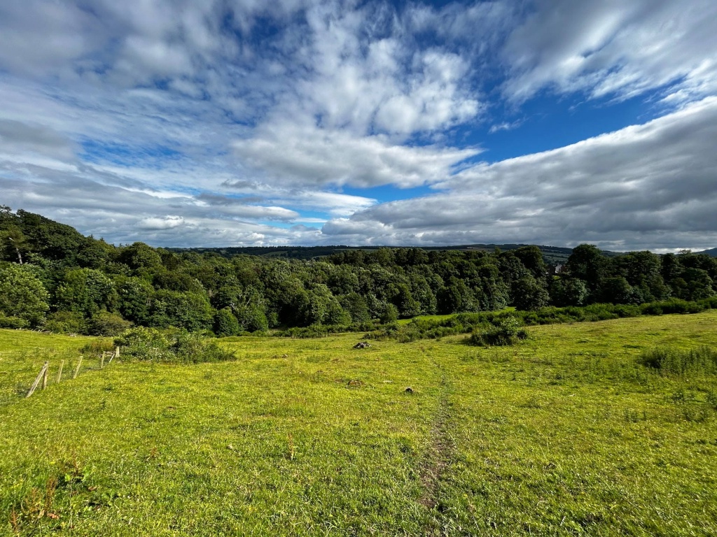 Pastoral landscape. A gently sloping grassy field occupies the foreground, leading the eye towards a dense line of trees that stretches across the middle ground. Beyond the trees, rolling hills are visible under a partly cloudy sky, with a mix of blue sky and fluffy white and grey clouds.