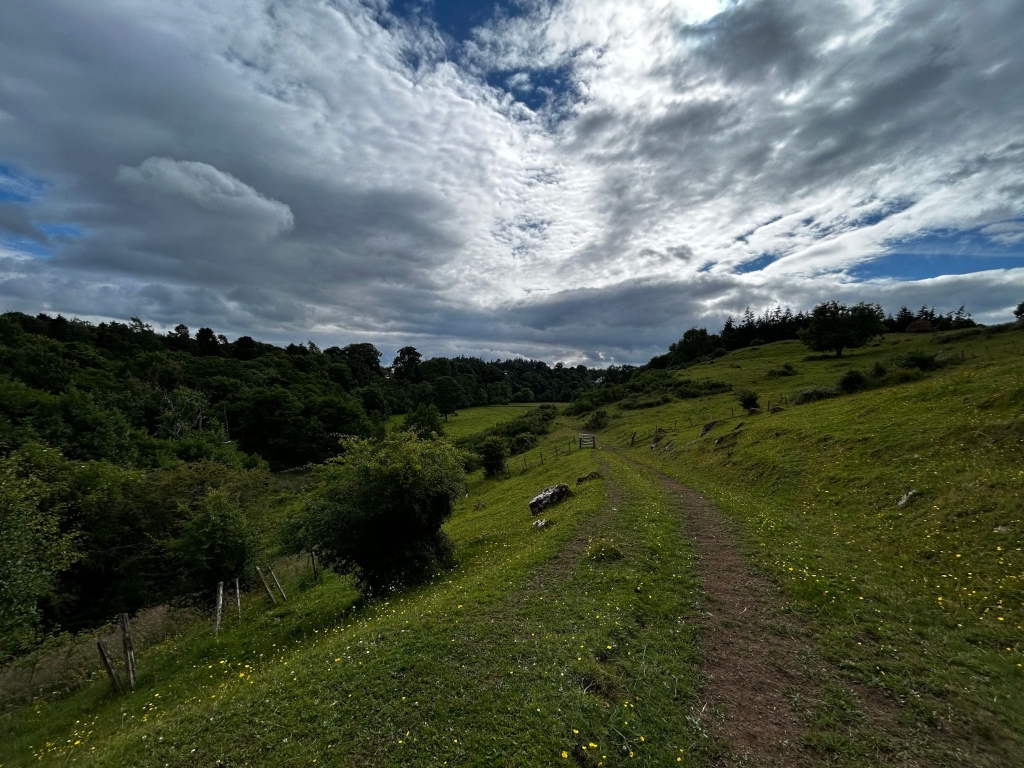 Dirt path winding through a verdant, rolling hillside. The path leads towards a line of trees in the distance. The sky is dramatic, filled with fluffy, cumulus clouds against a backdrop of blue. Scattered wildflowers are visible along the path and the hillside.