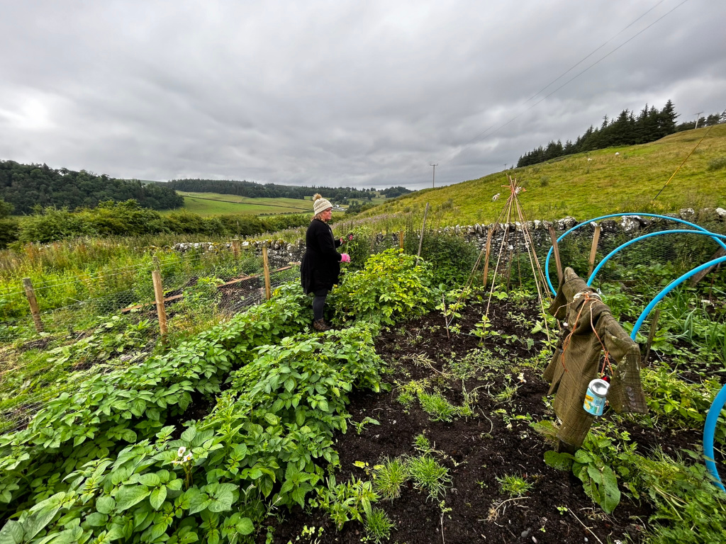 Leonie tending to a vegetable garden situated on a hillside. The garden is enclosed by a wire fence and contains various crops, including what appear to be potatoes and beans. A scarecrow stands nearby. The backdrop features a rolling green landscape under a cloudy sky. The overall impression is one of rural tranquillity and self-sufficiency.