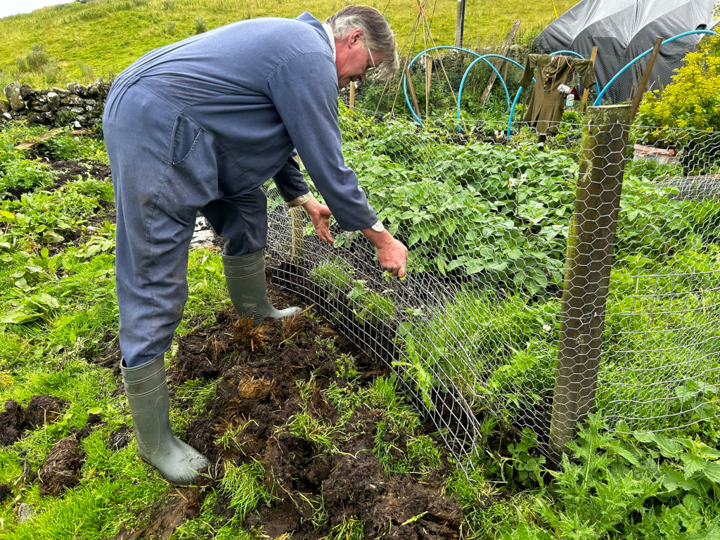Charlie in dark green rubber boots and blue coveralls tending to a garden. They are working along a wire mesh fence that encloses a section of plants, possibly beans or similar. He seems to be inspecting or adjusting wire mesh near the fence. The setting appears to be a rural garden.