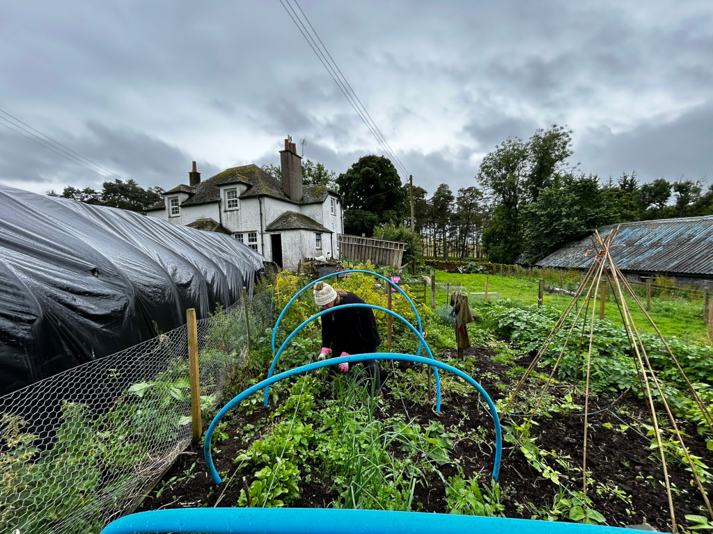 Leonie tending a garden. She is bent over, seemingly working amongst the plants, which are growing within a series of blue plastic hoops. Behind her, a white farmhouse is visible, along with other farm buildings and a large black plastic covering what appears to be a structure or area for growing produce.