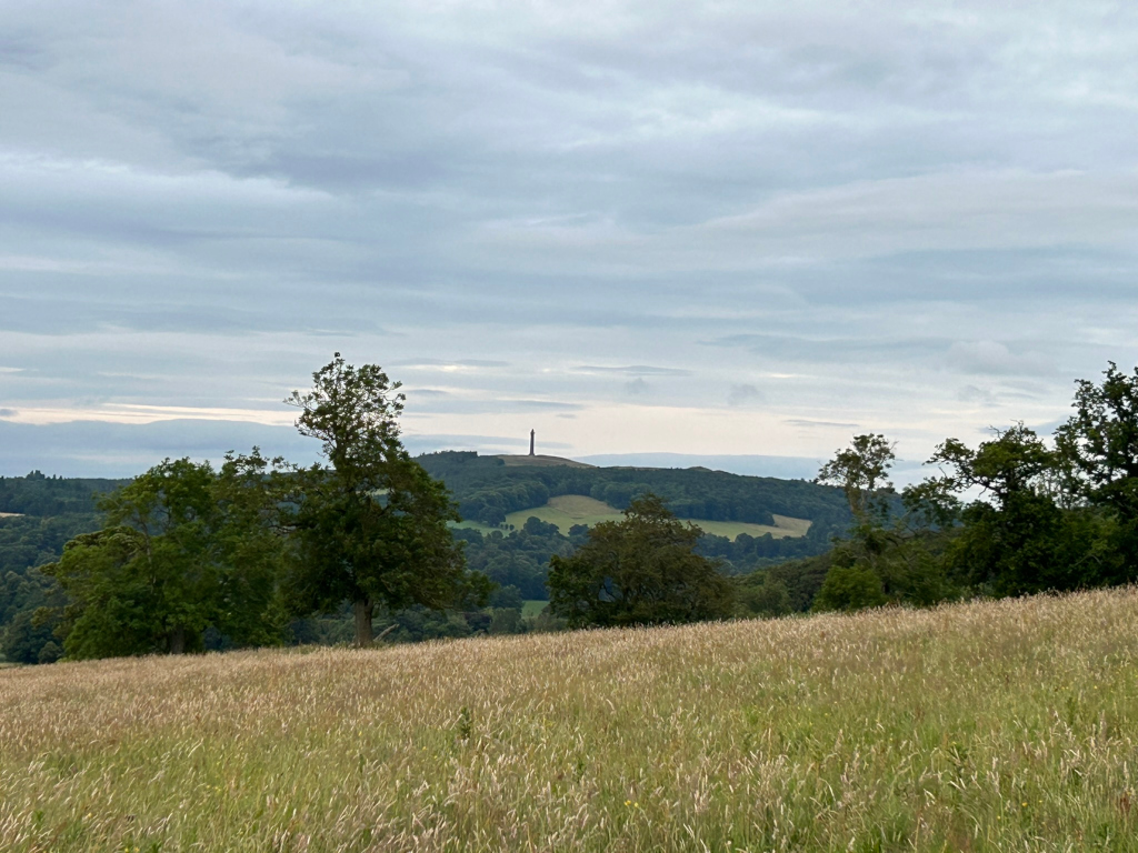 Tranquil landscape featuring a field of tall grass in the foreground. Beyond the field, a line of trees sits atop a gentle rise, leading the eye to a tall, slender monument or tower visible in the distance on a hill under a somewhat overcast sky.
