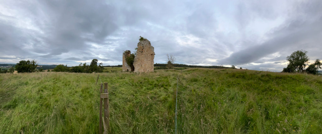 Ruins of a stone tower or castle, partially collapsed, standing in a field of tall grass under a cloudy sky. The setting appears rural and peaceful, with a distant view of more land and some trees.