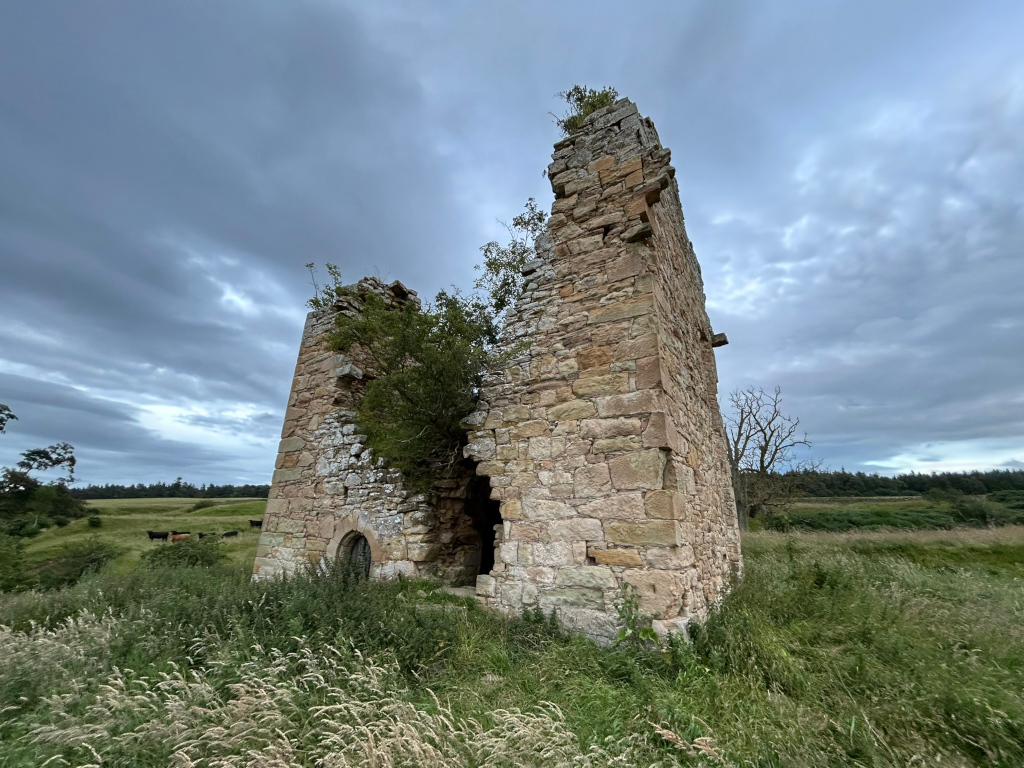 Ruins of a stone structure, possibly a tower or a section of a larger building, standing in a field under a cloudy sky. The structure is partially collapsed, with vegetation growing within and around its walls. A few cattle are visible in the distance in the field. The overall mood is one of quiet decay and the passage of time.