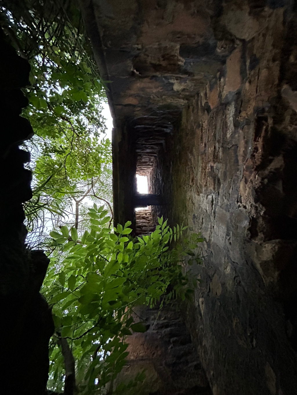 Low-angle view inside a stone structure, possibly a ruin or ancient building. Lush green foliage is seen growing from the bottom and partially obscuring the view through a narrow, vertical shaft that opens to the sky above. The stonework is dark and weathered, suggesting age and decay. The contrast between the vibrant green leaves and the dark, crumbling stone creates a visually striking image.