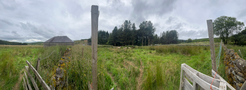 Panoramic view of a rural landscape. In the foreground is a grassy field enclosed by simple wooden fences and stone walls. A few sheep are visible in the mid-ground, grazing near a small copse of trees. In the far background is a stone building and a line of low hills under a somewhat cloudy sky.