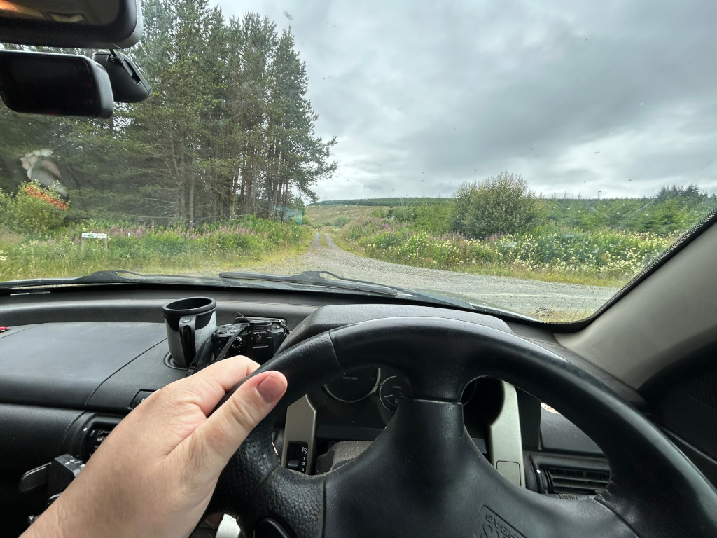 First-person view from the driver's seat of a car driving down a gravel road.  The road winds through a landscape of relatively low-lying vegetation and trees, under a cloudy sky. The driver's hand rests on the steering wheel, and a camera and a cup are visible on the dashboard. The overall impression is one of a journey through a somewhat remote, rural area.