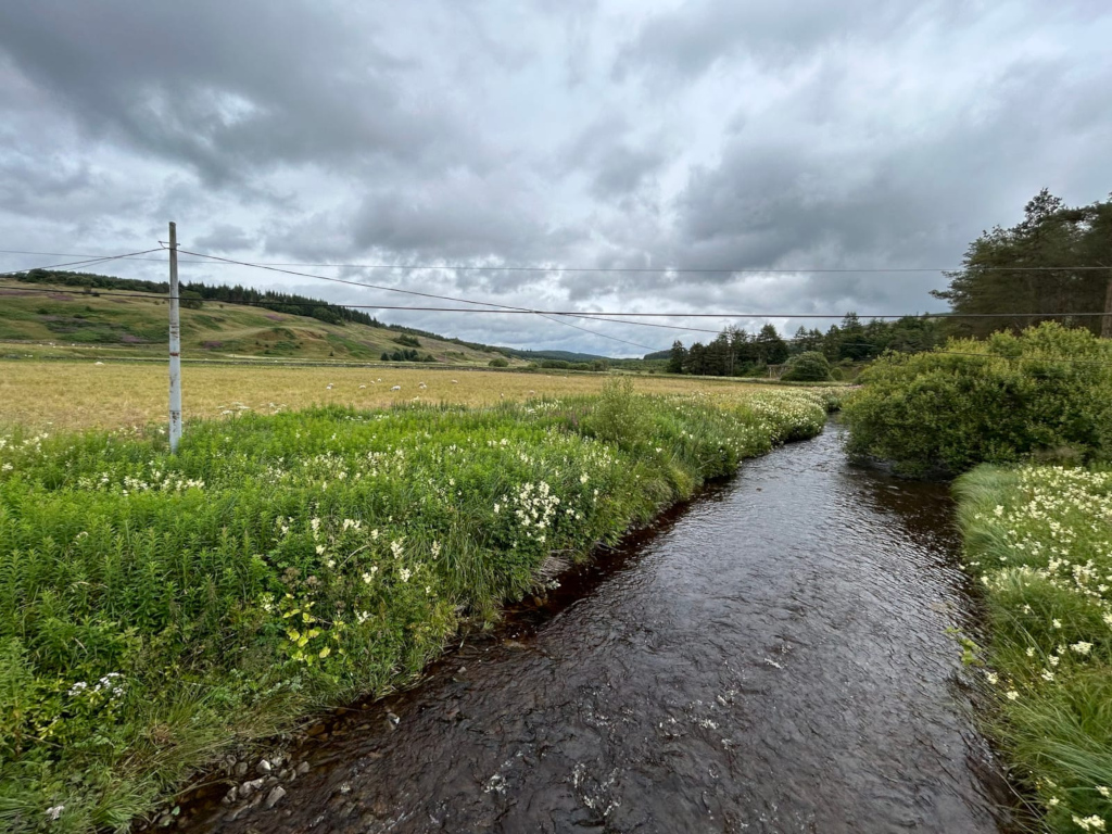 Tranquil stream flowing through a verdant landscape under a cloudy sky. The stream is bordered by lush green vegetation interspersed with white wildflowers. In the background, a flat, golden field stretches out towards a line of trees and gently rolling hills. A single utility pole with wires runs across the scene, adding a touch of human presence to the otherwise natural setting. The overall mood is serene and peaceful, suggestive of a rural or countryside location.