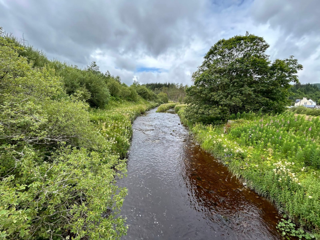 Moderately flowing river, with dark, slightly murky water, meanders through a lush, green landscape. The banks are densely vegetated with various shrubs and wildflowers, creating a vibrant border along the water's edge. A large, leafy tree stands prominently on the right bank. The sky is mostly cloudy, suggesting a somewhat overcast day. In the far background, a hint of more distant trees and possibly a building is visible. The overall impression is one of serenity and natural beauty in a seemingly rural setting.