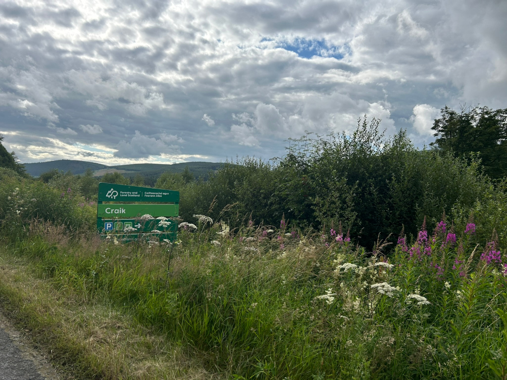 Green signpost indicating Craik, situated amidst a verdant landscape. Wildflowers, including Queen Anne's Lace and what appears to be Fireweed, bloom in the foreground. The background features a dense line of trees and rolling hills under a cloudy sky. The overall impression is one of a peaceful, rural setting, possibly a nature reserve or park.